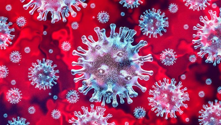 Six months into coronavirus pandemic, scientists say exact source may never be identified