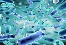 Genetically Engineered Bacteria Make Living Materials For Self-Repairing Walls And Cleaning Up Pollution